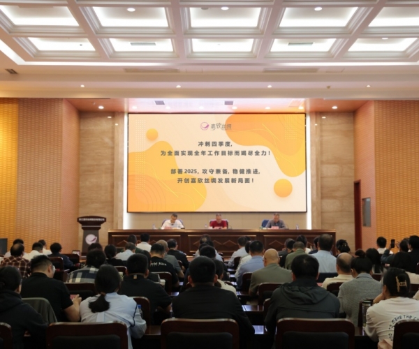 多多28丝绸2024年三季度经济形势分析会顺利召开